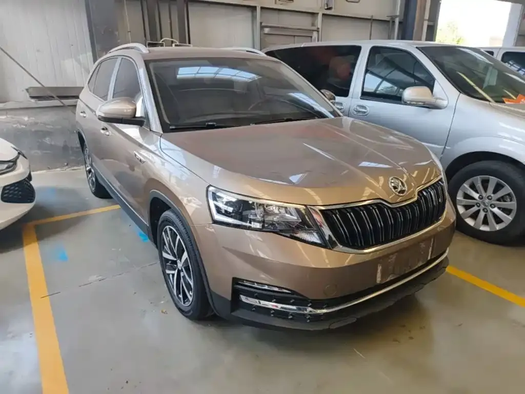 Skoda Kamiq — фото 8