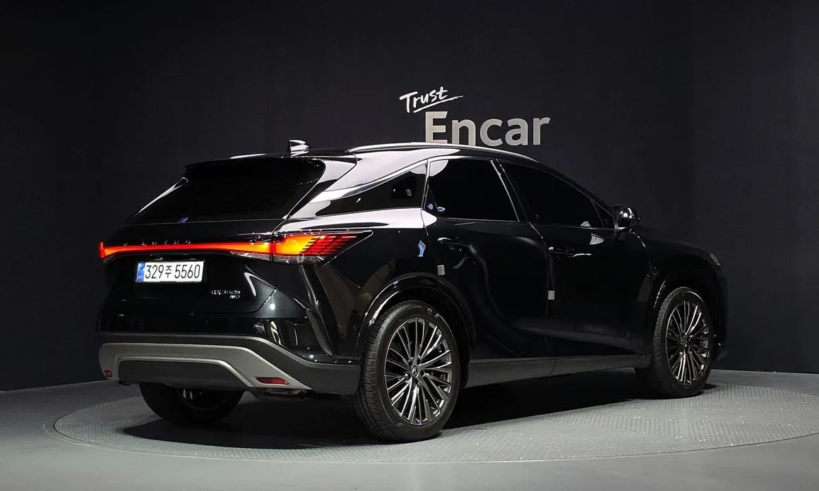 Lexus RX — фото 10