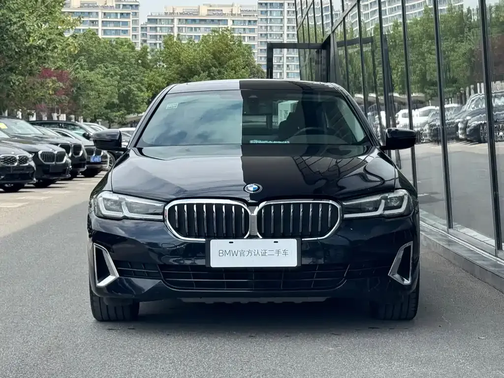 BMW 5 Series New Energy — фото 6