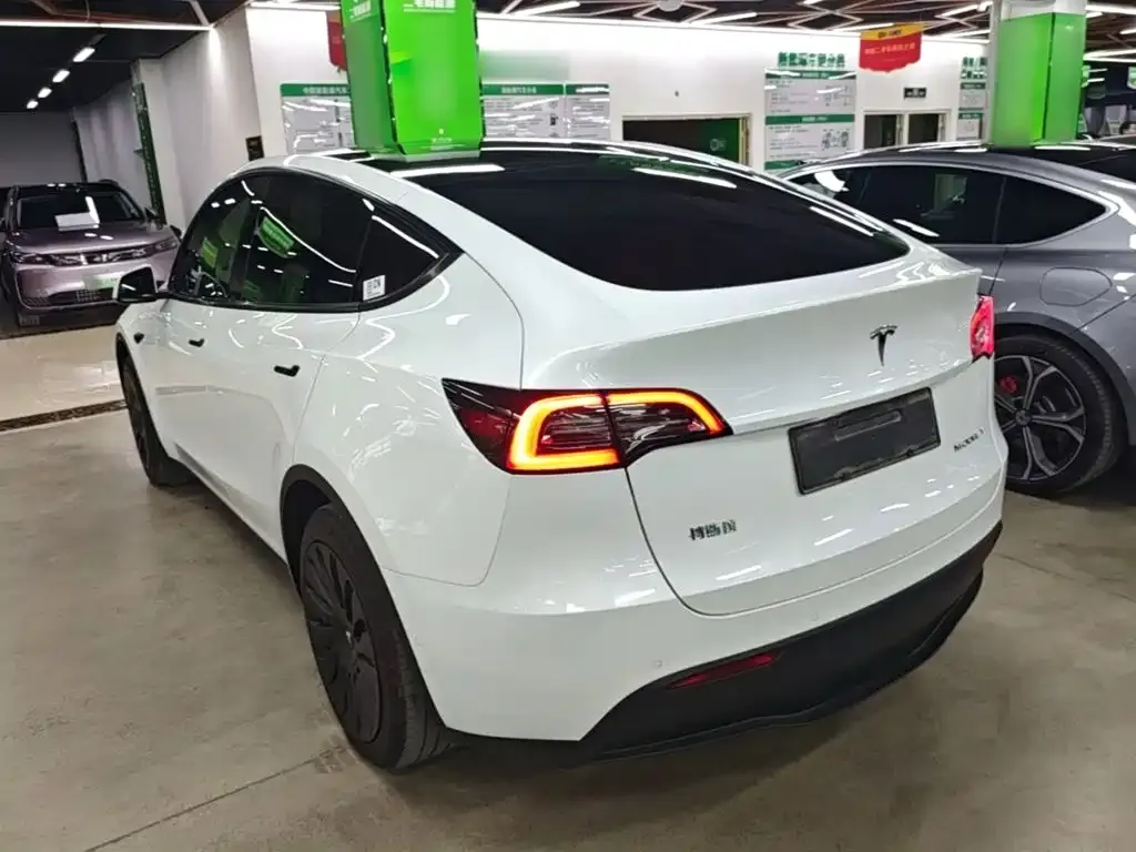 Tesla Model Y — фото 10