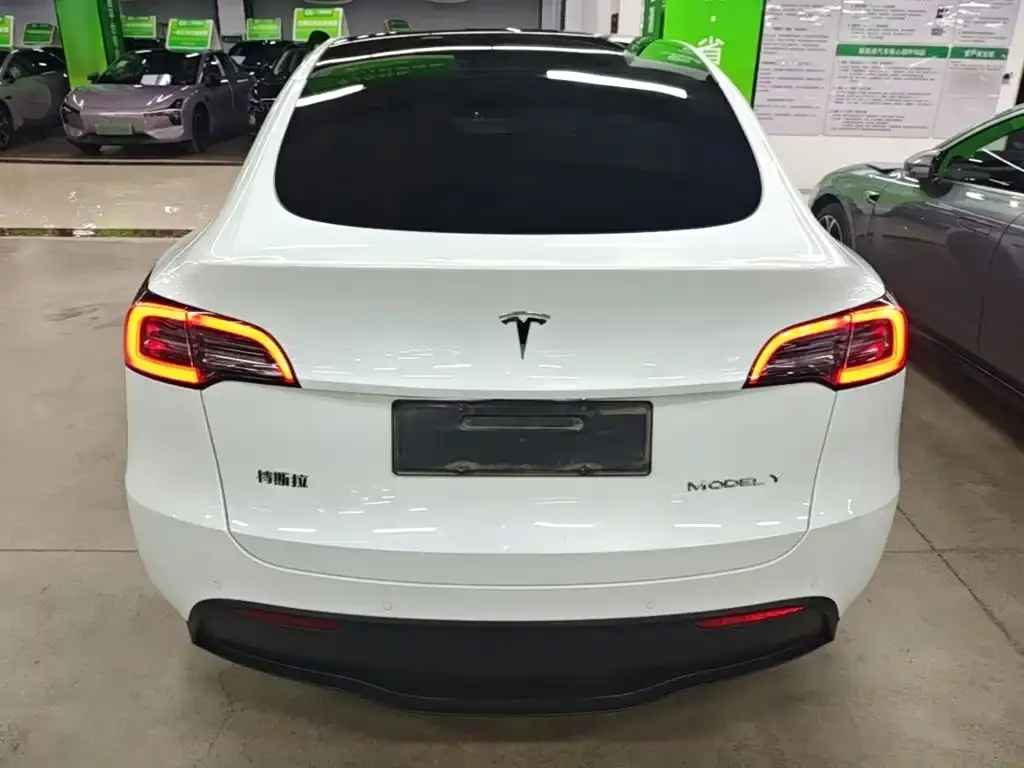 Tesla Model Y — фото 2