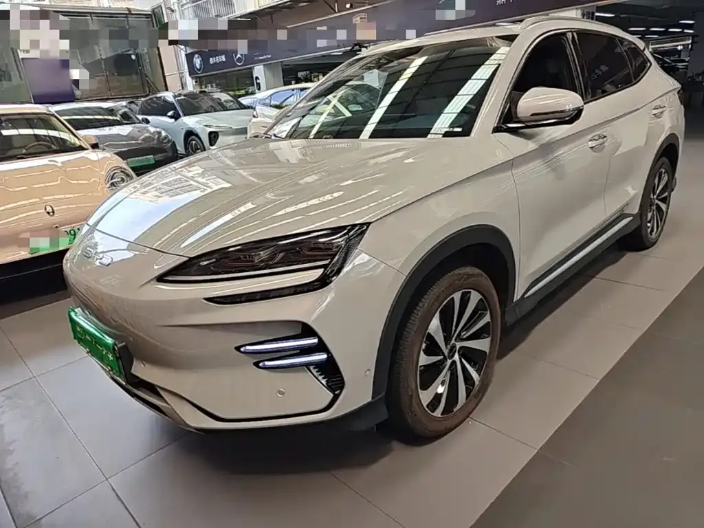 BYD PLUS New Energy — фото 1