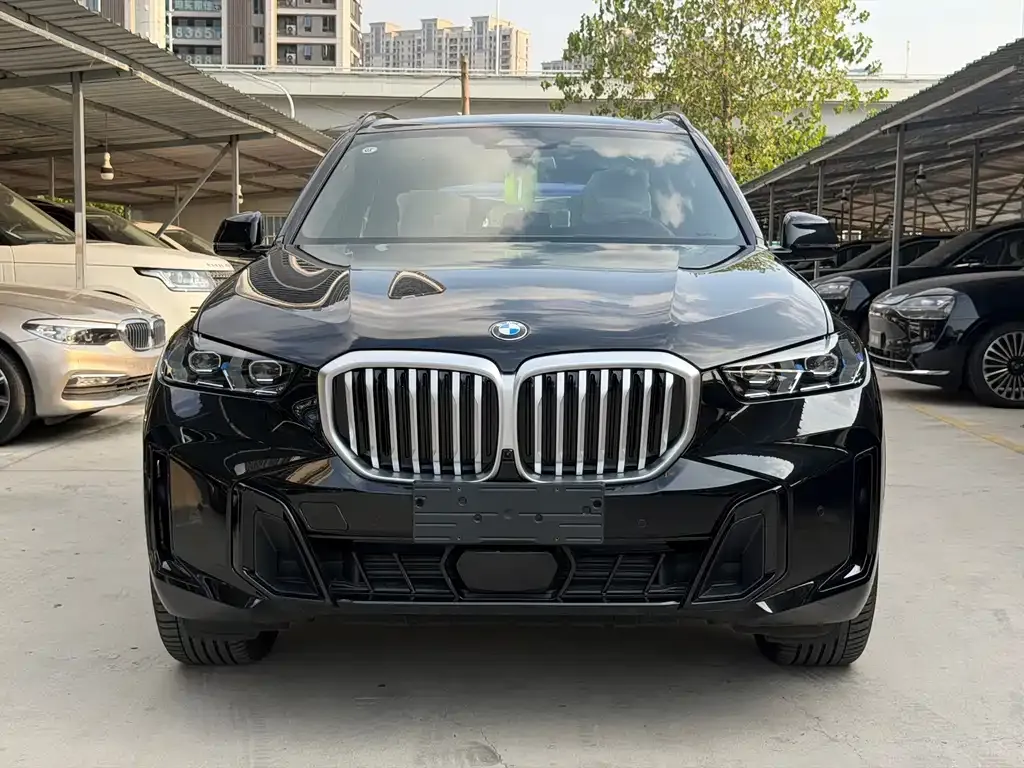 BMW X5 — фото 10