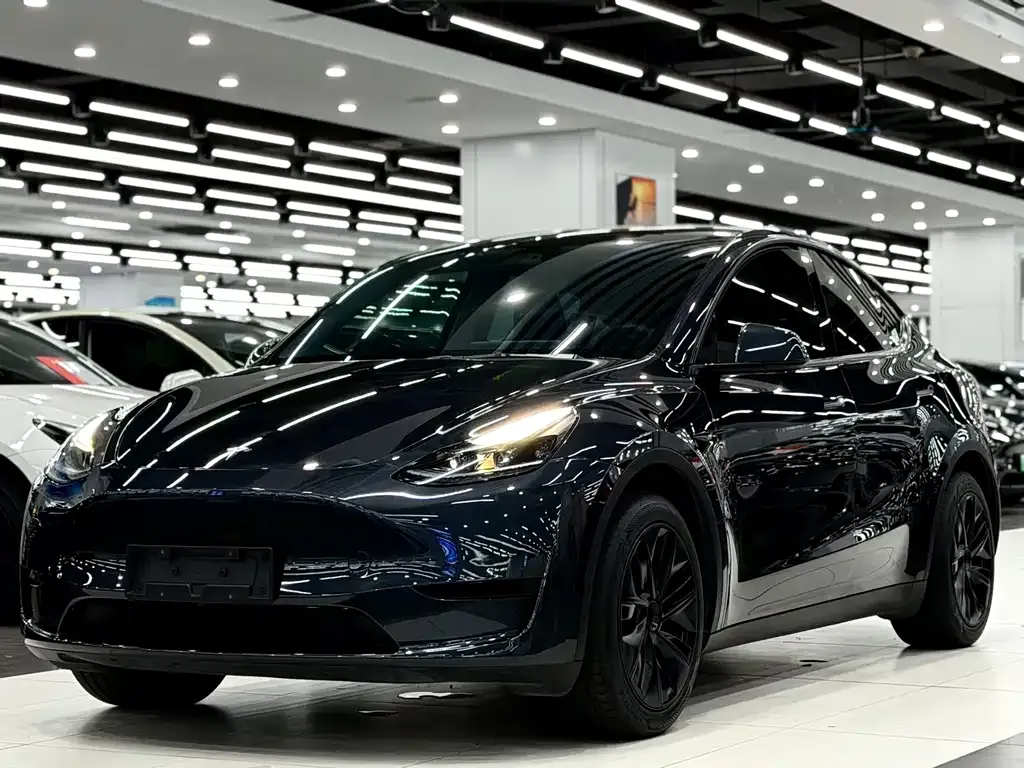 Tesla Model Y — фото 1