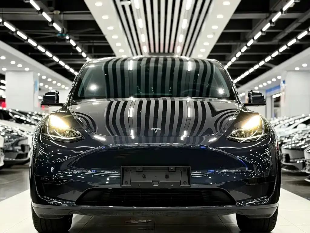 Tesla Model Y — фото 4