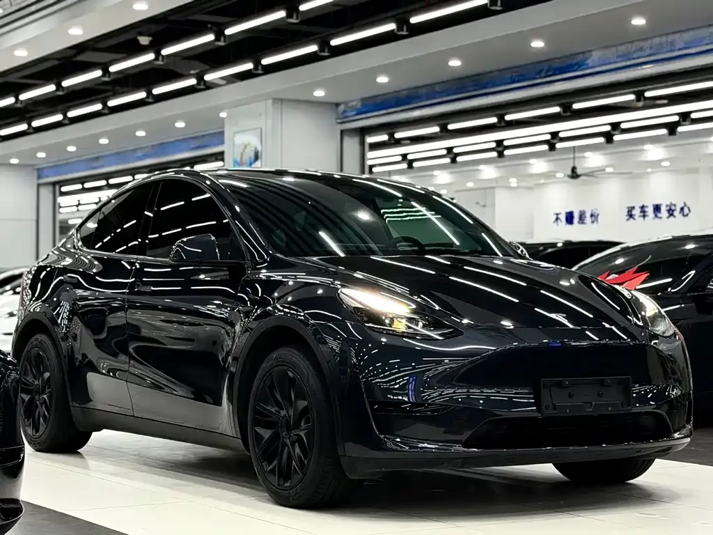 Tesla Model Y — фото 5