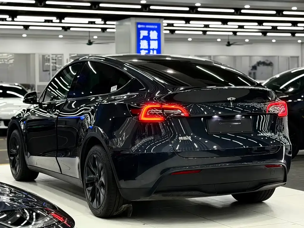 Tesla Model Y — фото 3