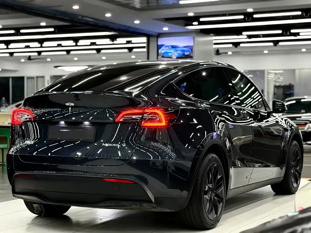 Tesla Model Y — фото 6