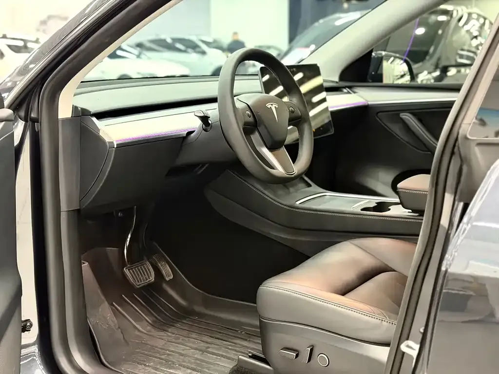 Tesla Model Y — фото 10