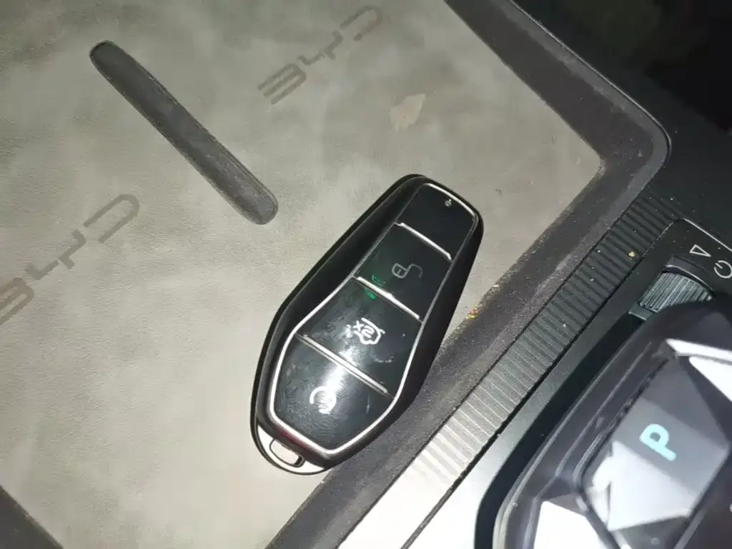 BYD L DM-i — фото 3