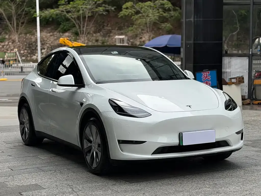 Tesla Model Y — фото 8