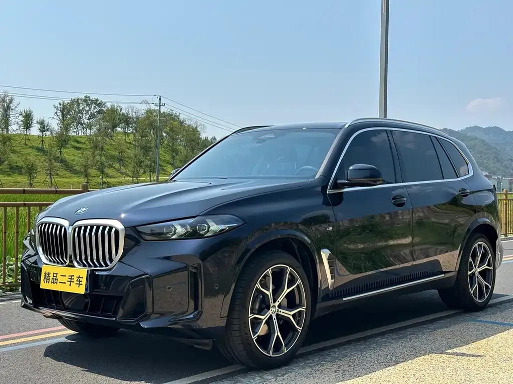 BMW X5 — фото 1
