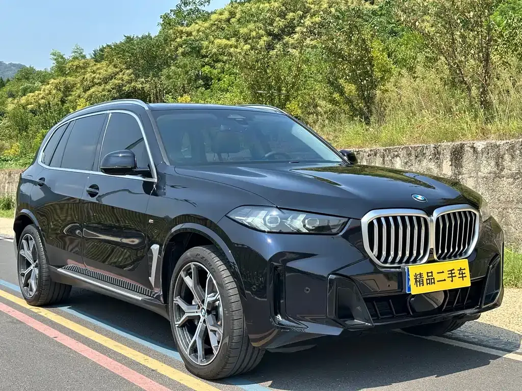 BMW X5 — фото 6