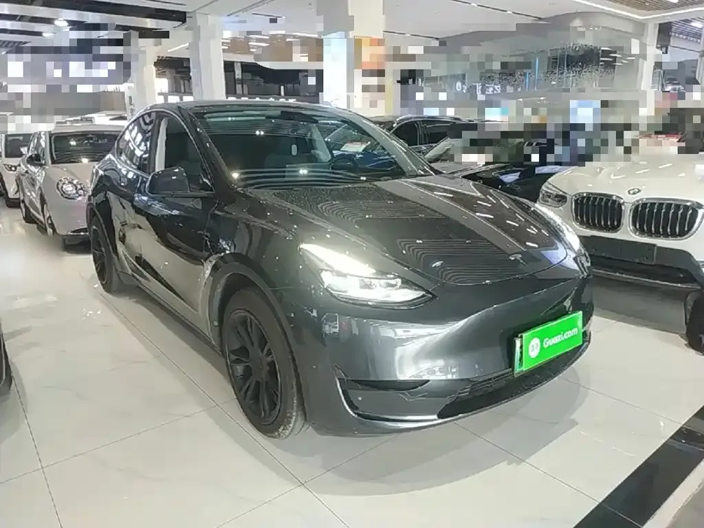 Tesla Model Y — фото 10