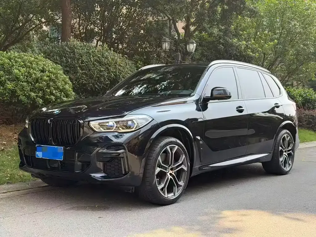 BMW X5 — фото 6