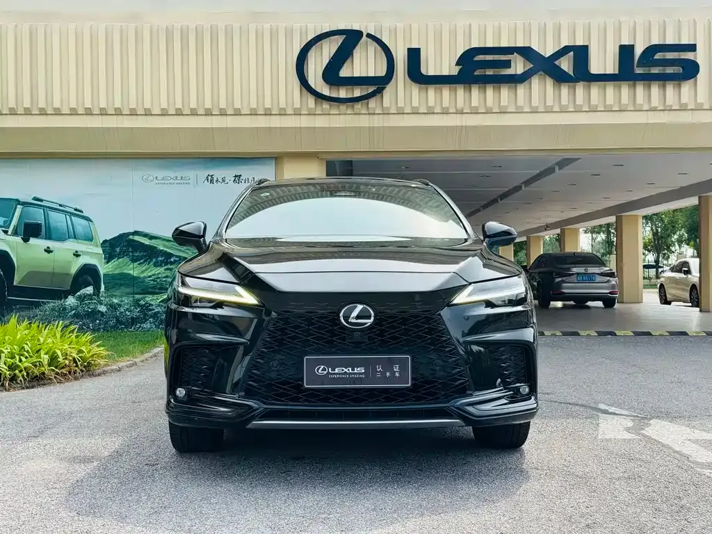 Lexus RX — фото 6