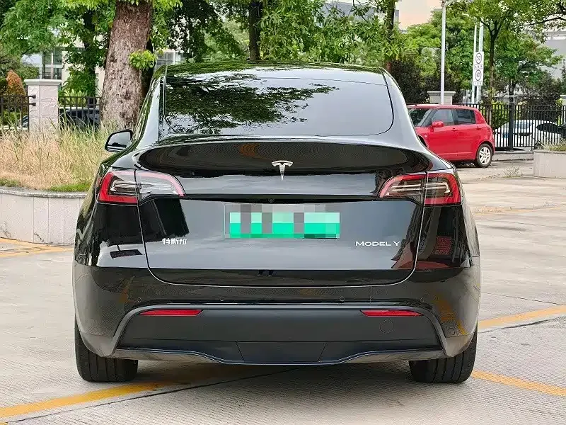 Tesla Model Y — фото 3