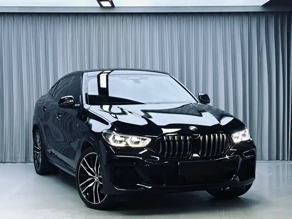 BMW X6 — фото 8