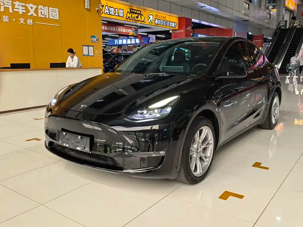 Tesla Model Y — фото 1
