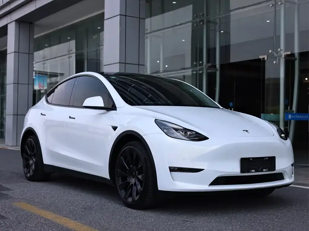 Tesla Model Y — фото 9