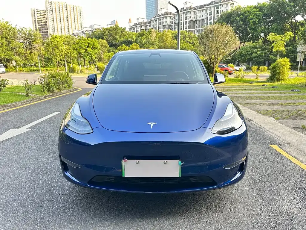 Tesla Model Y — фото 1
