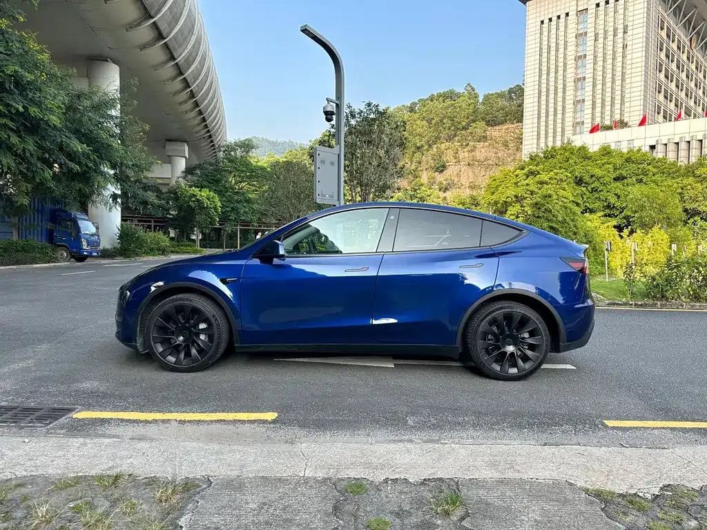 Tesla Model Y — фото 6