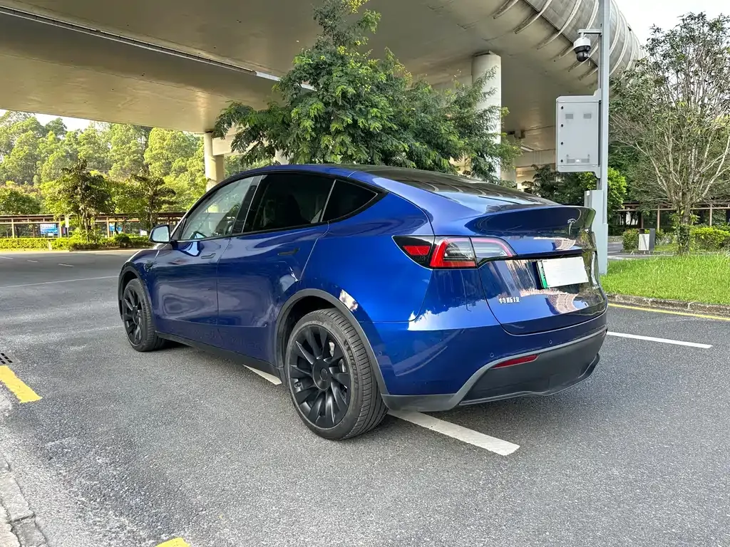 Tesla Model Y — фото 3