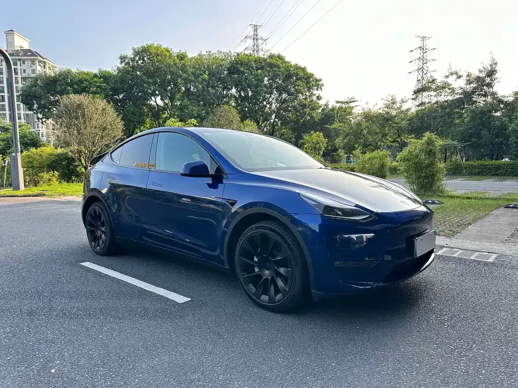 Tesla Model Y — фото 8