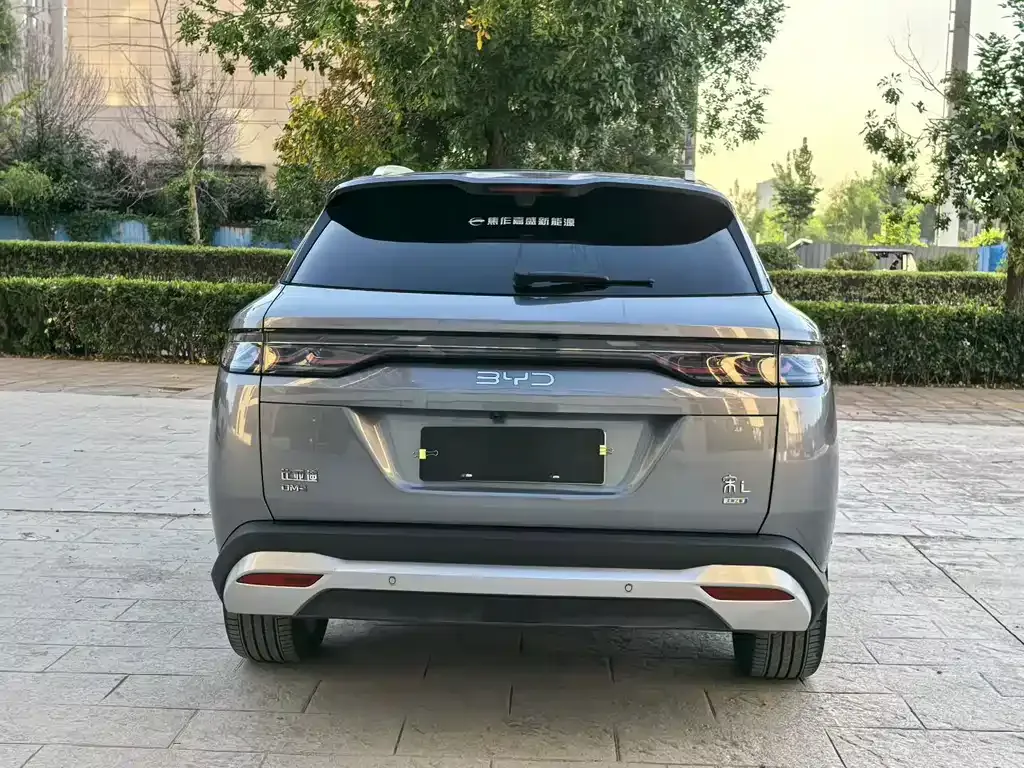 BYD L DM-i — фото 3