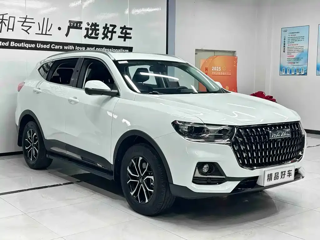 Haval H6 — фото 8