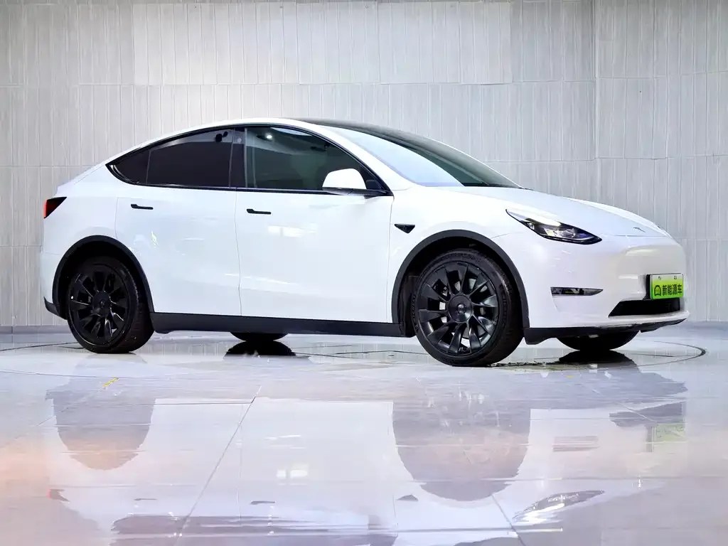 Tesla Model Y — фото 8