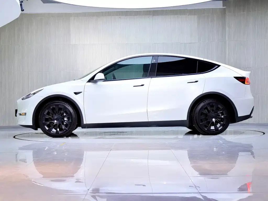 Tesla Model Y — фото 5