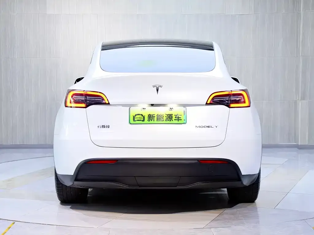 Tesla Model Y — фото 2
