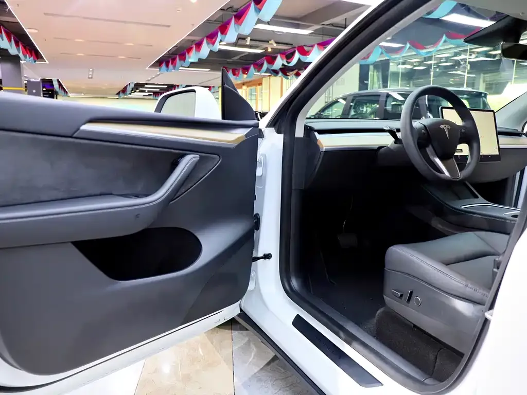 Tesla Model Y — фото 10