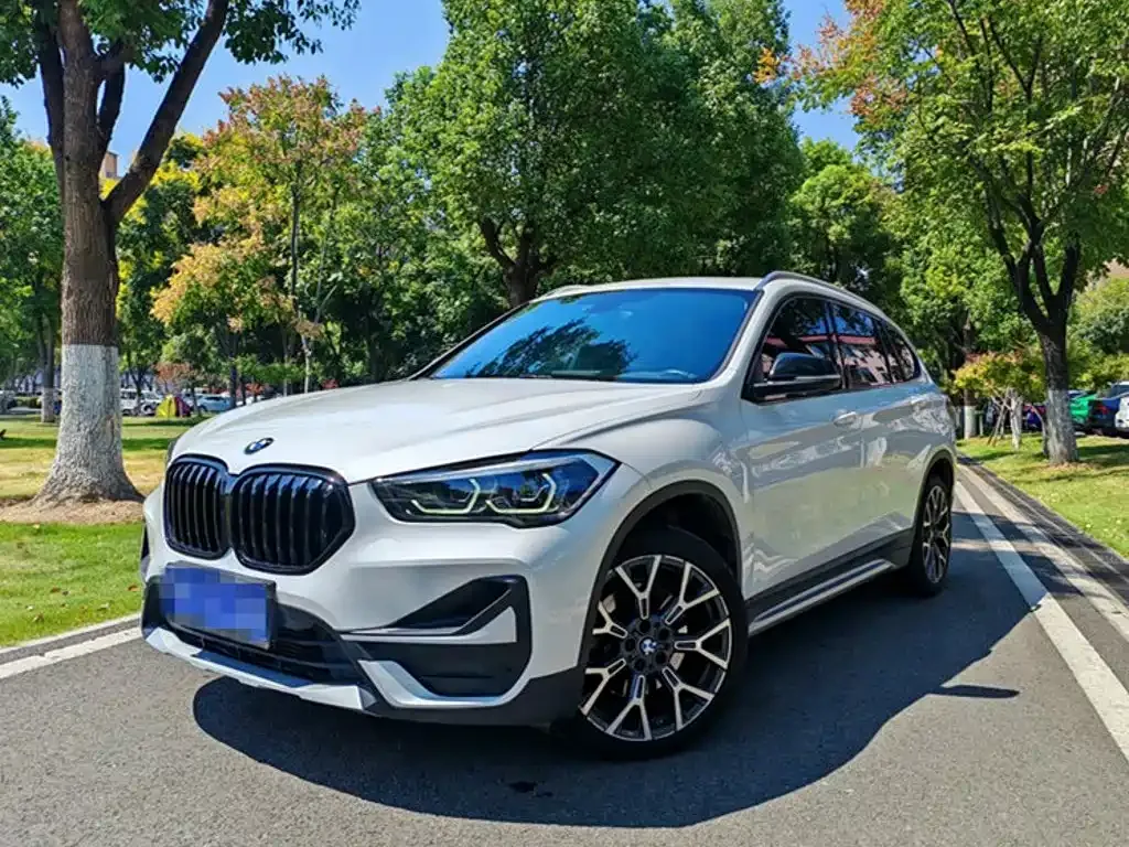 BMW X1 — фото 1