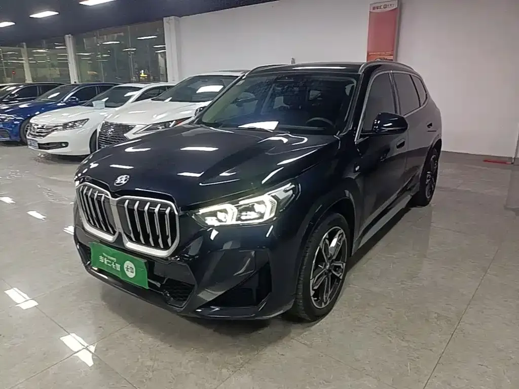 BMW X1 — фото 1