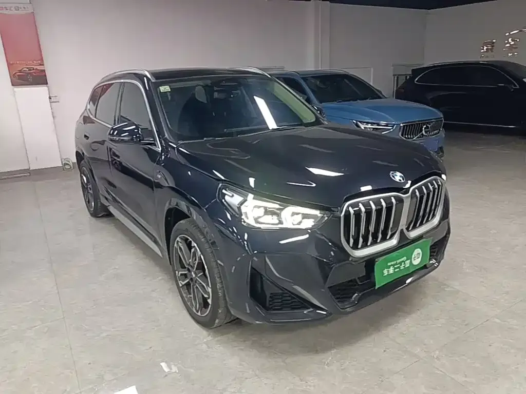 BMW X1 — фото 10