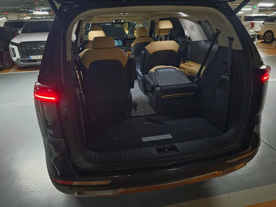 Kia Carnival — фото 10