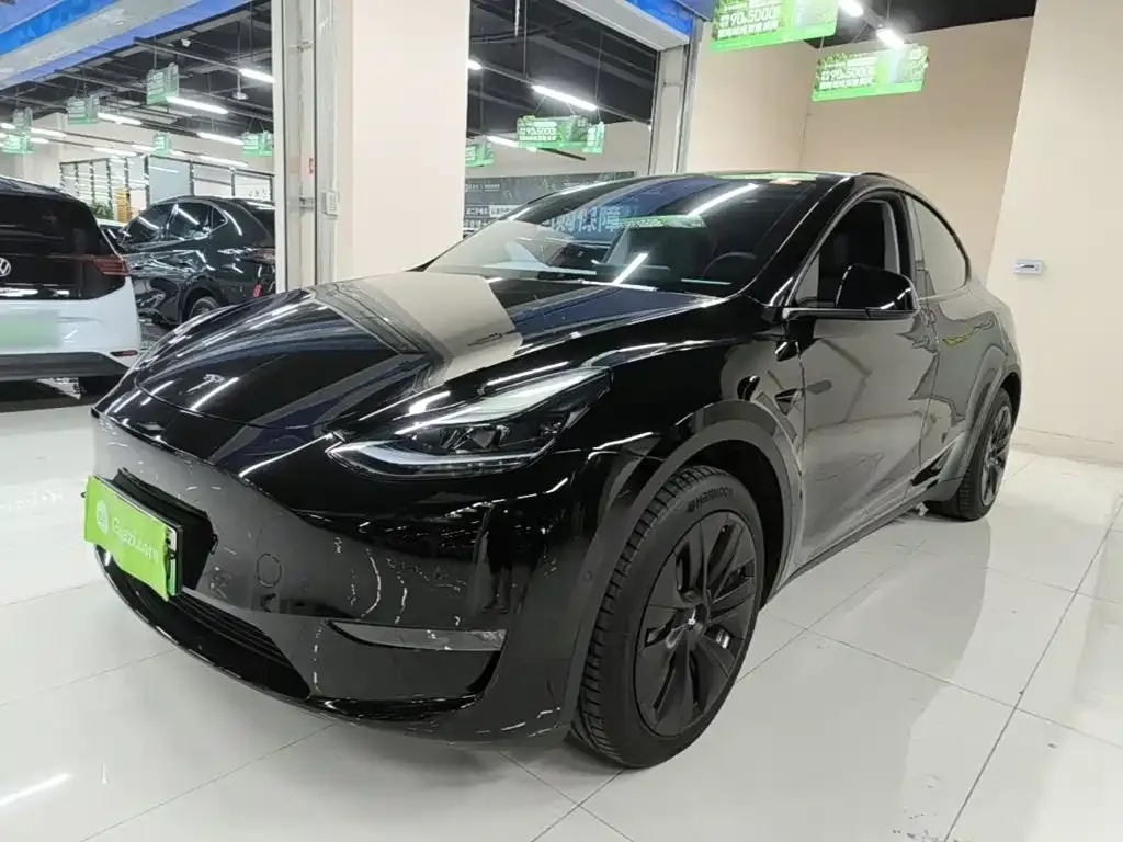 Tesla Model Y — фото 2