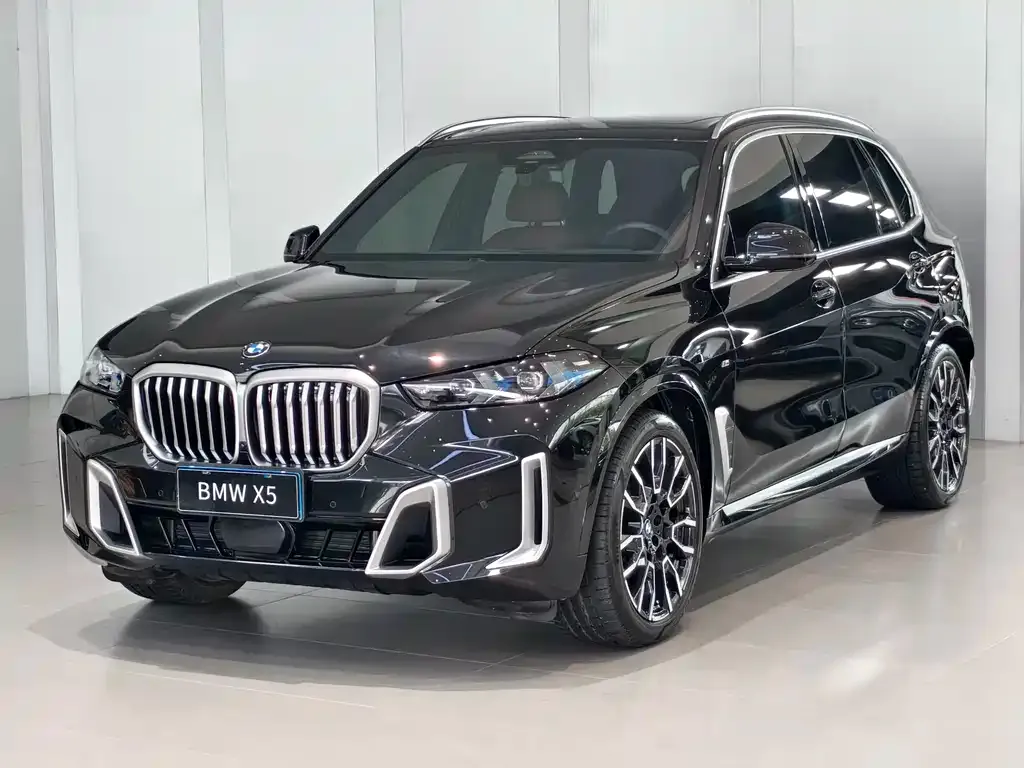BMW X5 — фото 1
