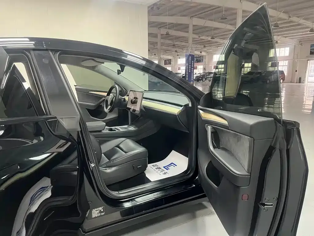 Tesla Model Y — фото 10