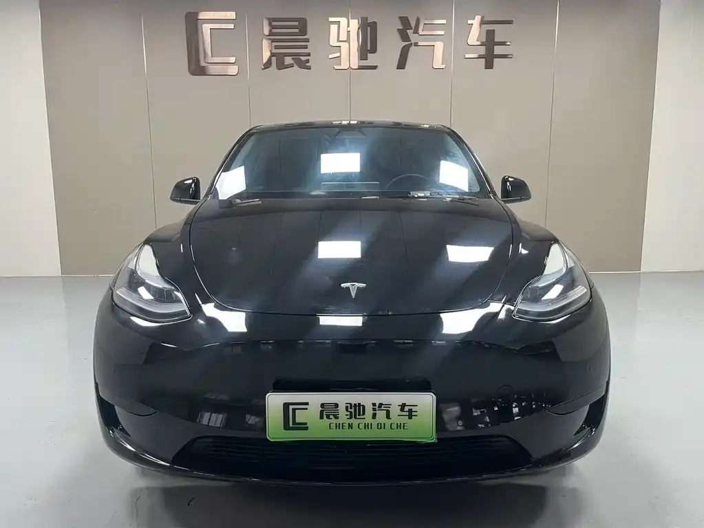 Tesla Model Y — фото 9