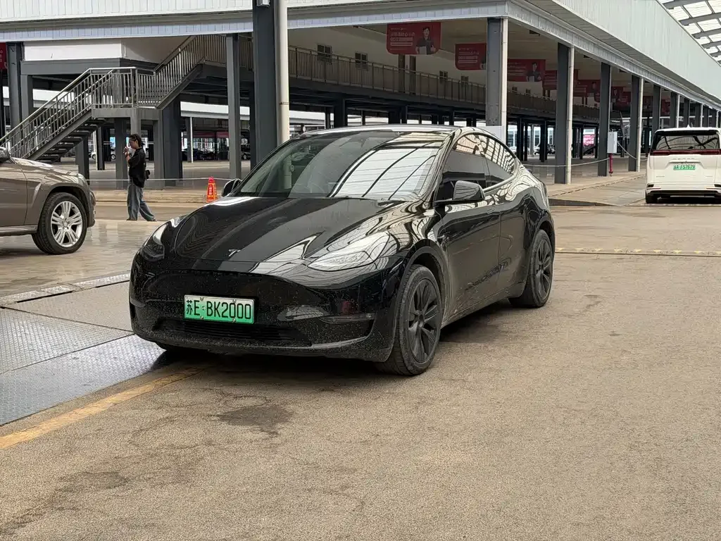 Tesla Model Y — фото 1