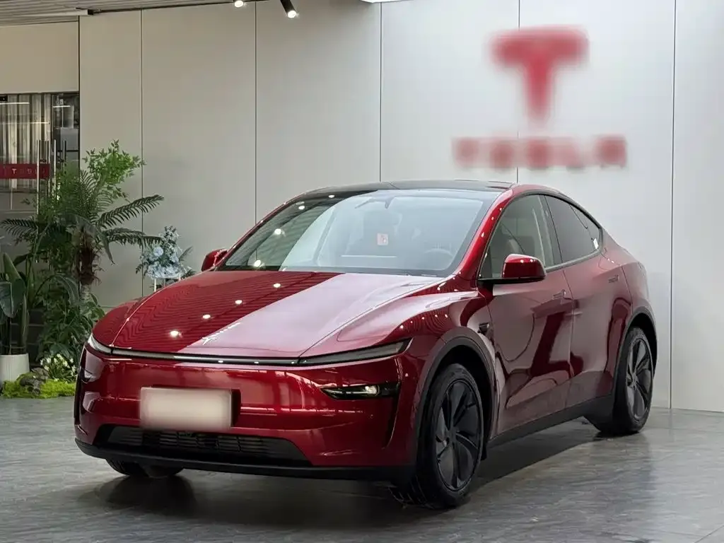 Tesla Model Y — фото 8