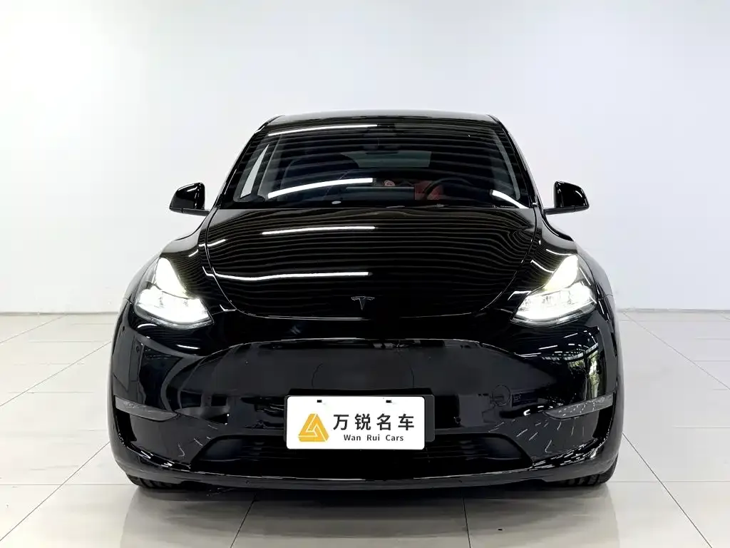 Tesla Model Y — фото 3
