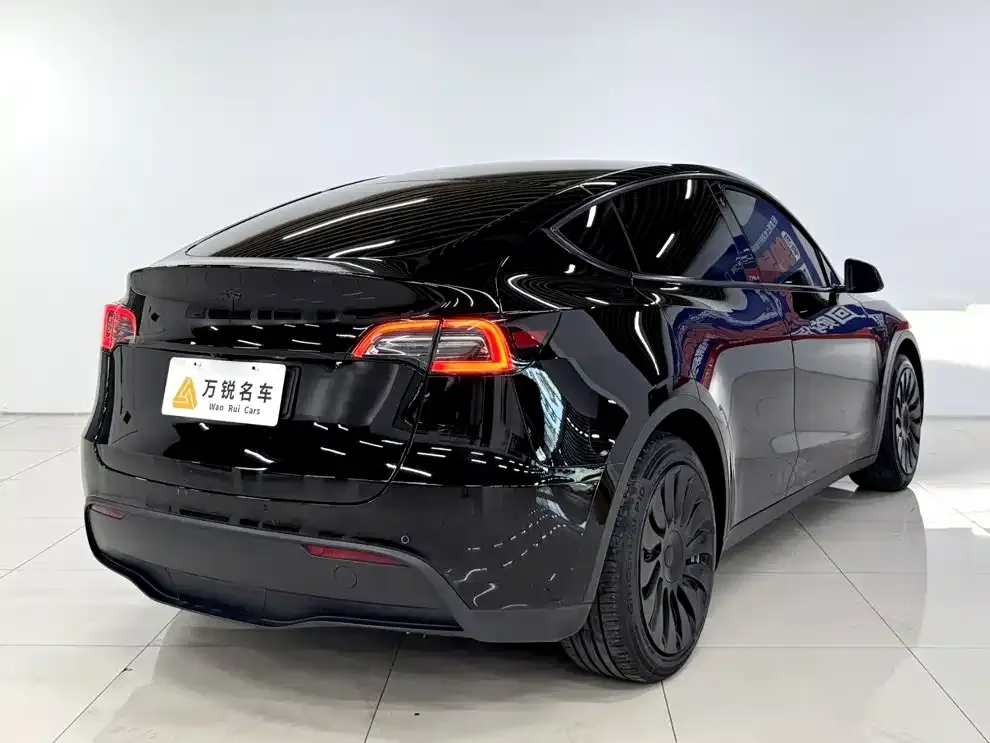 Tesla Model Y — фото 10