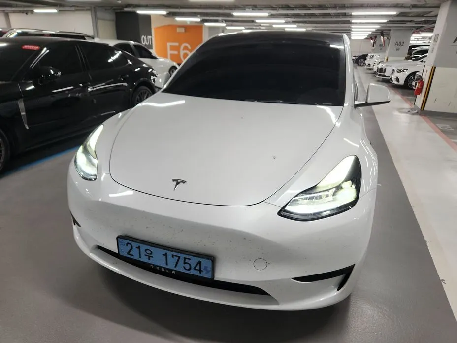 Tesla Model Y — фото 1