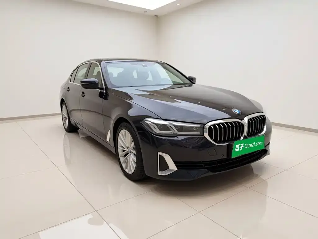 BMW 5 Series New Energy — фото 8