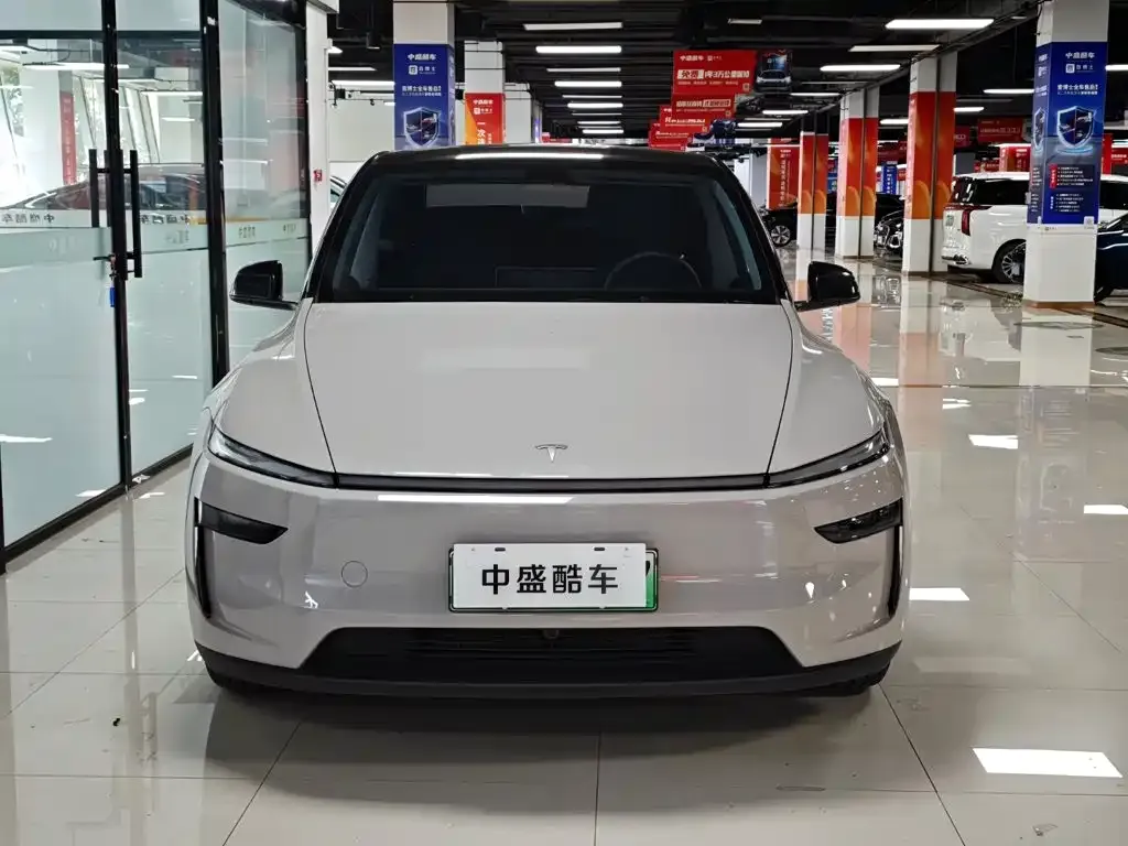 Tesla Model Y — фото 6