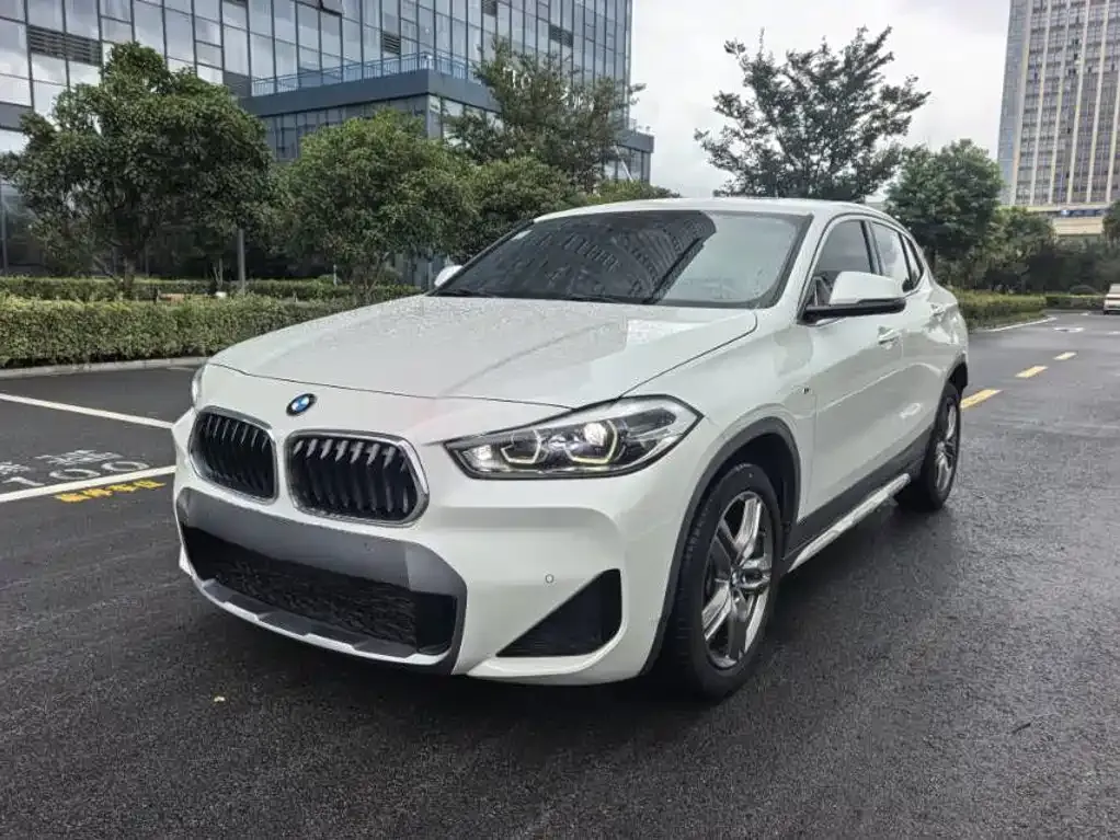 BMW X2 — фото 1